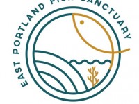 Alligator Head Foundation Test Facebook